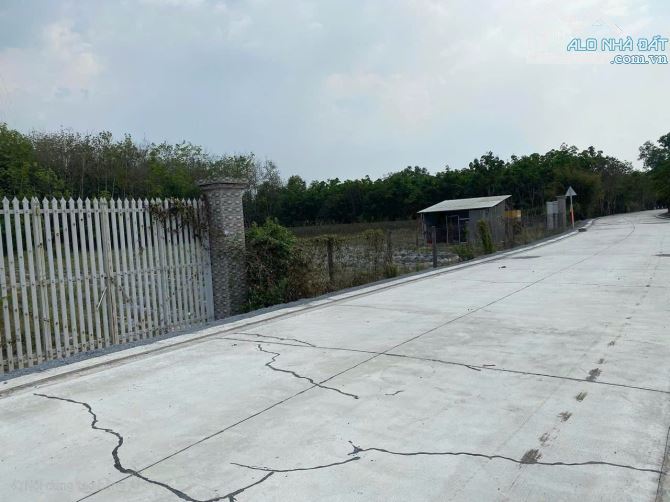 BÁN ĐẤT THỔ CƯ ĐƯỜNG ĐẸP RỘNG GIÁ RẺ ĐẦU TƯ LÀM NHÀ VƯỜN BIỆT THỰ - 1