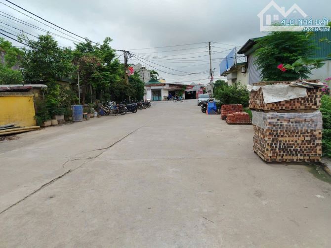 BÁN ĐẤT 51m2 MAI HIÊN MAI LÂM ĐÔNG ANH - 1