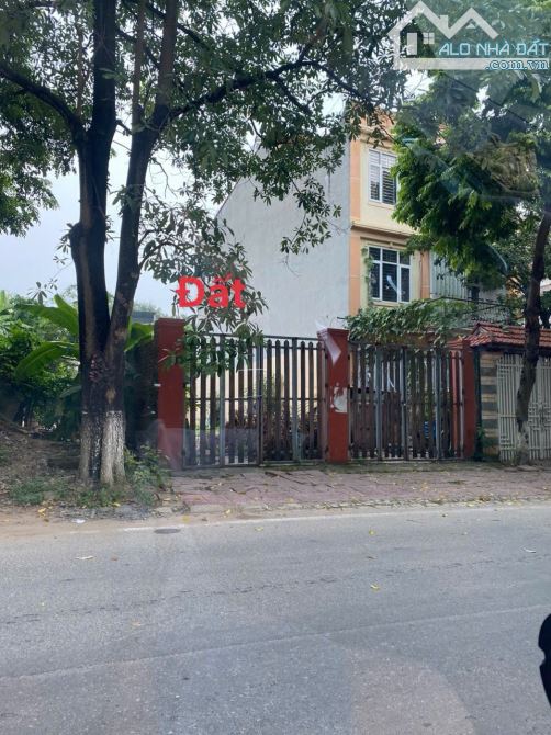 🔥BÁN GẤP LÔ ĐẤT TRỤC CHÍNH KINH DOANH TÔ HIẾN THÀNH CÁCH VIỆN 109 CHỈ 500M 203.2M MT7,5m - 1