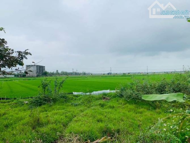 Bán Đất Phường Điện Phương - View Lúa Trực Diện - 330m2 - MT 7m - Nở Hậu - 7tr/m2. - 1