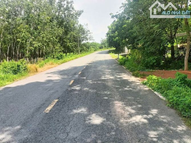 Bán gấp đất mặt tiền DH722 Minh Thạnh 710m2 có 100tc dân đông nở hậu - 1