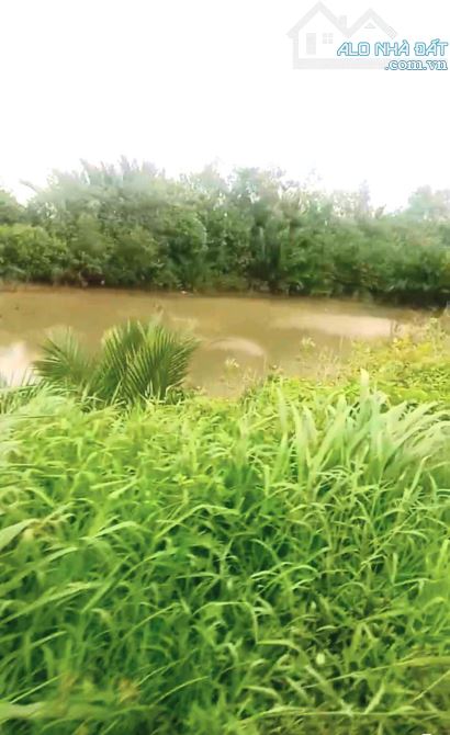 600tr có 1.000m2  đất 2 mặt tiền đường huyện 99B – Sông Vàm Cỏ, TP Gò Công, Tiền Giang. - 1