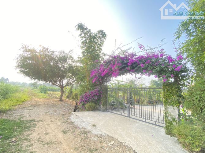Bán Gấp Đất Vân Hoà, Ba Vì Tổng Diện Tích 5 Sào Giá Chỉ 1,5 Tỷ View Cánh Đồng Núi Như Hình - 1