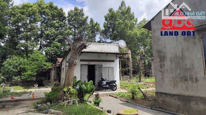 X081 Bán trang trại 3ha thích hợp chuyển đổi làm kho chứa hàng, Bình Minh, Trảng Bom giá - 1