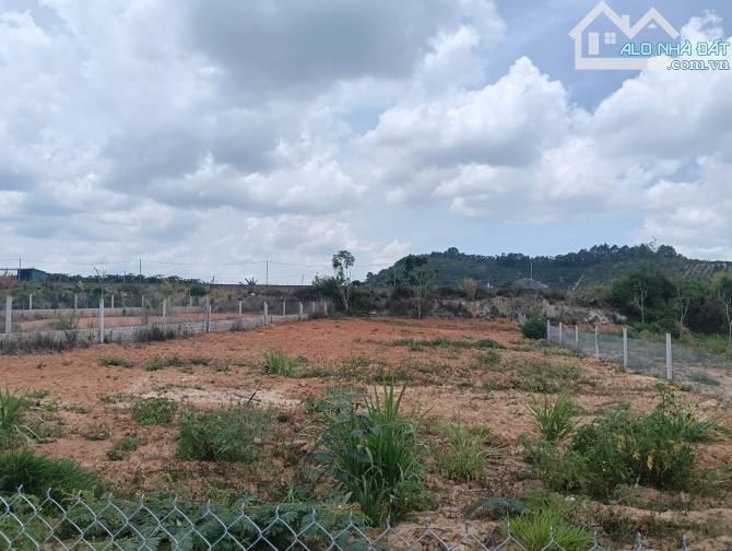 Tìm chủ cho lô đất view siêu đẹp Sông Đa Nhim - Hiệp Thạnh - Đức rọng - 1