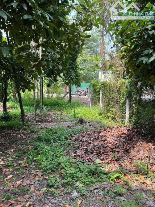 Bán đất mặt tiền An Sơn 01 cách sông Sài Gòn chỉ 180m - 1