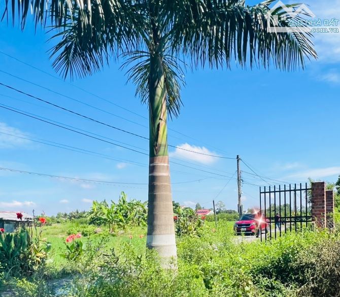 1000m2 có thổ cư (Không trung gian) chỉ 280tr sang tên sổ, còn lại cho trả dần