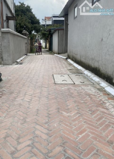 🔥 BÁN ĐẤT LẠI ĐÀ, ĐÔNG HỘI – NGÕ Ô TÔ – 55M² – HƠN 6 TỶ 🔥 📍 Vị trí đẹp – Gần Vin Cổ Loa - 1