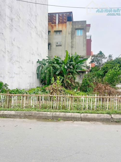 🔥 BÁN LÔ ĐẤT SIÊU ĐẸP – TUYẾN HAI ĐƯỜNG MÁNG – CHỈ 65TR/M² – SỞ HỮU NGAY VỊ TRÍ VÀNG! 🔥 - 1