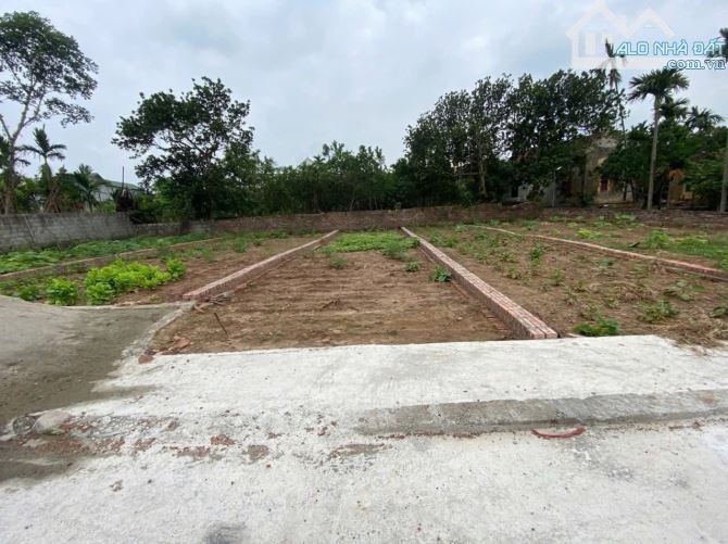 Bán 69m đất Quán Trạch. Giá Chỉ 33tr/m. Cực tốt. Cách trục apphan 70m. Oto vào tân đất - 1