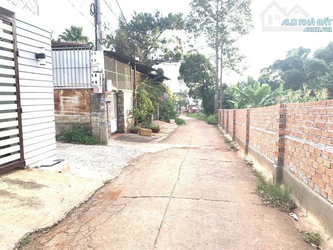 💥Đất TC 5*25,Đường B1,trong Vành ĐaI,gần Phạm Ngũ Lão ,gần chợ,nhiều lô khác - 1