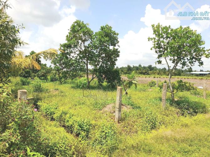 1000m2 đất xây nhà vườn View Sông Tấn Đức chỉ 600tr - 2