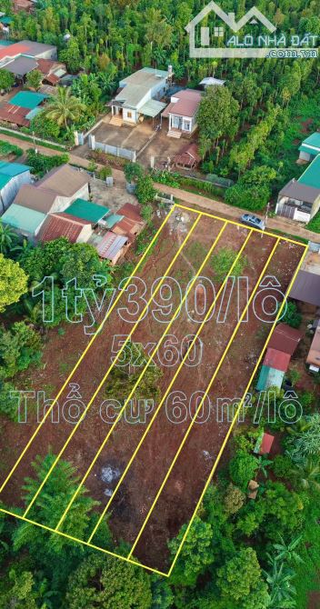 💥5 Lô TC 5*60m,Đường A2,Phạm Ngũ Lão,thôn 4,gần Vành Đai,nhiều lô khác - 2