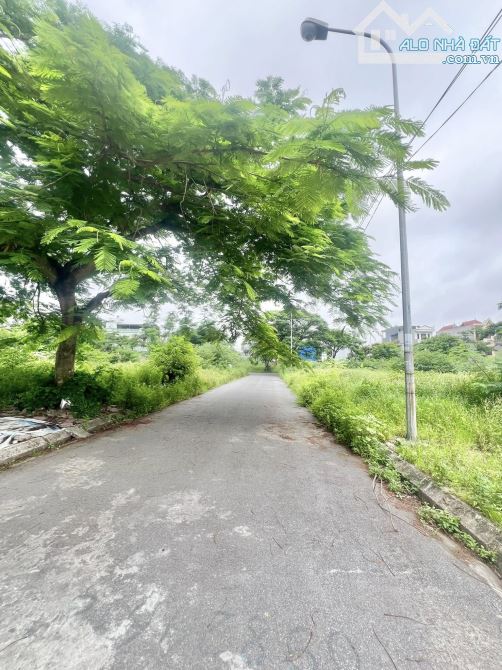 MR Đ.ANH- BÁN LÔ ĐẤT PHÂN LÔ VỊ TRÍ ĐẸP– AN TRÌ, HÙNG VƯƠNG, HỒNG BÀNG– TP. HẢI PHÒNG - 2
