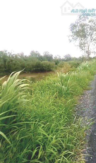 600tr 1000m2 bán đất 2 mặt tiền đường huyện 99B – Sông Vàm Cỏ, TP Gò Công, Tiền Giang. - 2