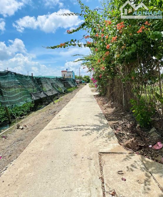 Cần bán 89m2 thổ cư giá 610tr gần ngã ba MỸ LỘC - 2