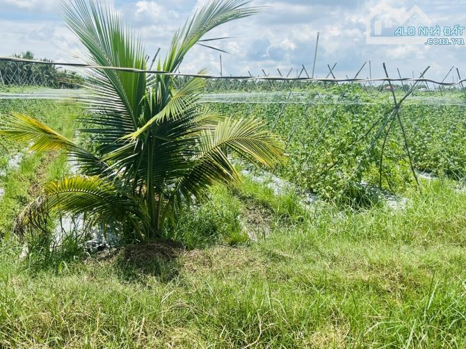 1000m2 có thổ cư (Không trung gian) chỉ 280tr sang tên sổ, còn lại cho trả dần - 1