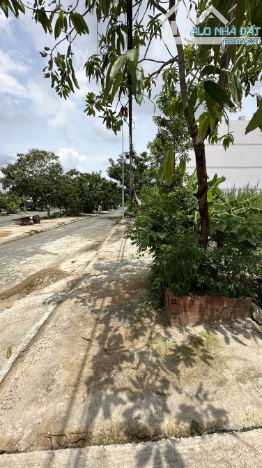 Bán đất Biệt Thự Nguyễn Văn Tạo Long Thới Nhà Bè 300m2 full thổ ngang 12m - 2