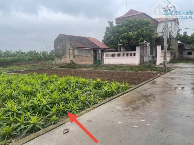 Chị Gái cần riền bán gấp 70,6m tại thôn Mạn Xuyên, Tứ Dân. Giá chỉ 1ty550. Giáp Sân golf…. - 2
