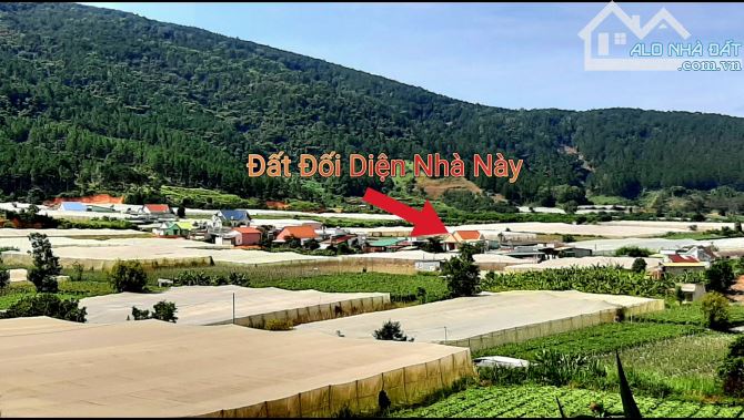 Đất thổ cư view đẹp tại D