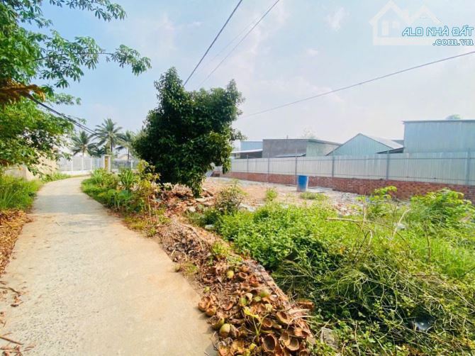 Bán đất 10x37 góc 2 mặt tiền lộ 4m thuộc Ba Láng, Cái Răng, giá 2 tỷ 290 triệu (TL ít) - 3