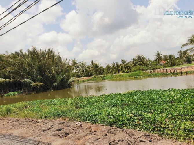 1000m2 đất xây nhà vườn View Sông Tấn Đức chỉ 600tr - 3