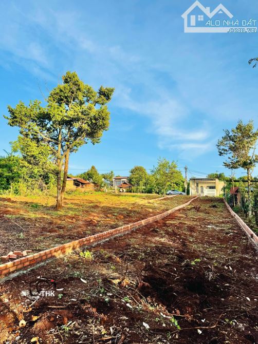 💥5 Lô TC 5*60m,Đường A2,Phạm Ngũ Lão,thôn 4,gần Vành Đai,nhiều lô khác - 3