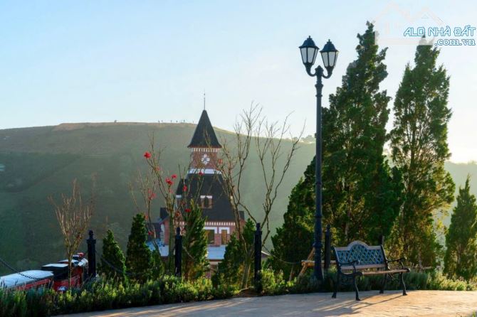 🌲2 Tỷ 450- lô đất view đồi chè Cầu Đất- Xuân Trường- 926m²- săn mây, làm homestay - 3