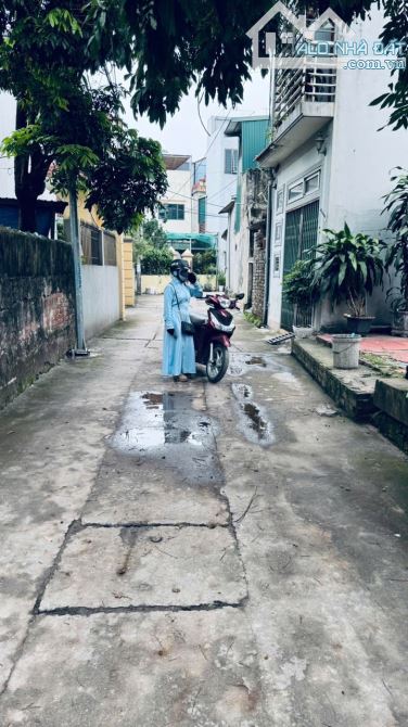 BÁN ĐẤT 51m2 MAI HIÊN MAI LÂM ĐÔNG ANH - 3