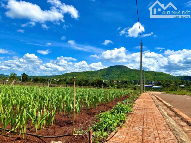 Chủ Kẹt Tiền bán gấp lô đất gần Sân Bay Liên Khương Đà Lạt - Sổ Riêng, Giá Chưa Tới 1 TỶ - 3
