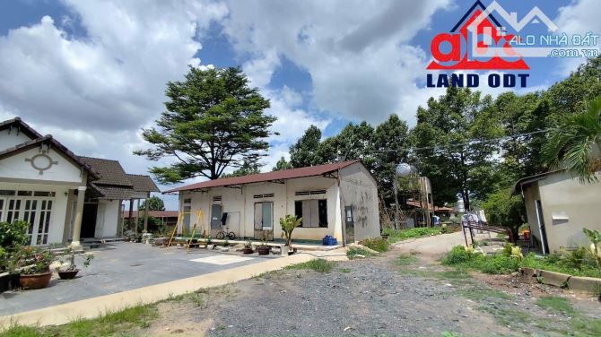 X081 Bán trang trại 3ha thích hợp chuyển đổi làm kho chứa hàng, Bình Minh, Trảng Bom giá - 3