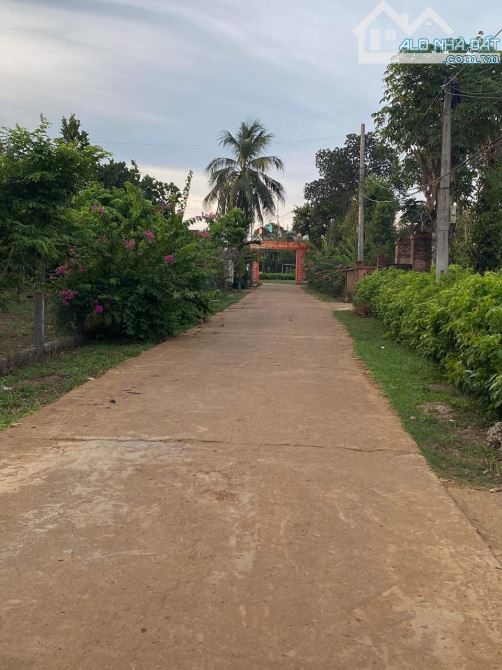 LÔ ĐẤT GÓC 2 MẶT TIỀN, PHONG BÌNH - GIO LINH - 3