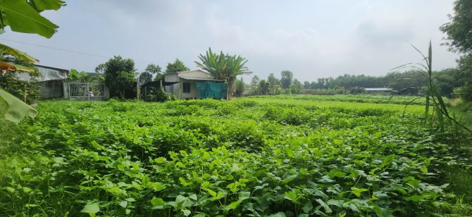 Bán Đất MT Đường Sắp Mở Rộng 16m, Gần KCN, Tân Phú Trung, Củ Chi, 2828m², Chỉ Hơn 3tr/m² - 3