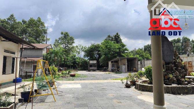 X081 Bán trang trại 3ha thích hợp chuyển đổi làm kho chứa hàng, Bình Minh, Trảng Bom giá - 4