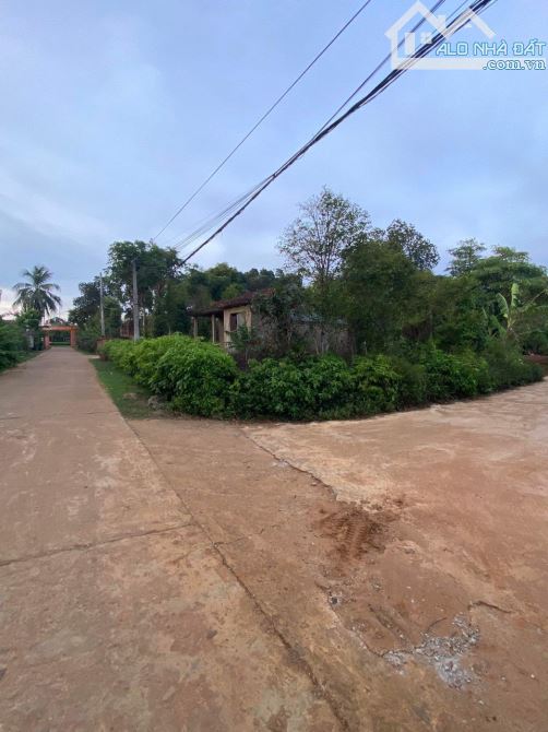 LÔ ĐẤT GÓC 2 MẶT TIỀN, PHONG BÌNH - GIO LINH - 4