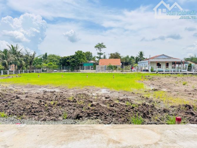 5×21 thổ Bình Lãng_Tân trụ 395 triệu Đường 5m ôtô nền cao đông nghẹt dân cư - 4