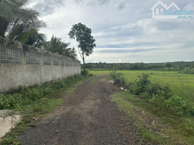 CẦN BÁN 5,6 SÀO ĐẤT THÔN 8 CUEBUA SAU TRƯỜNG HỌC - 5