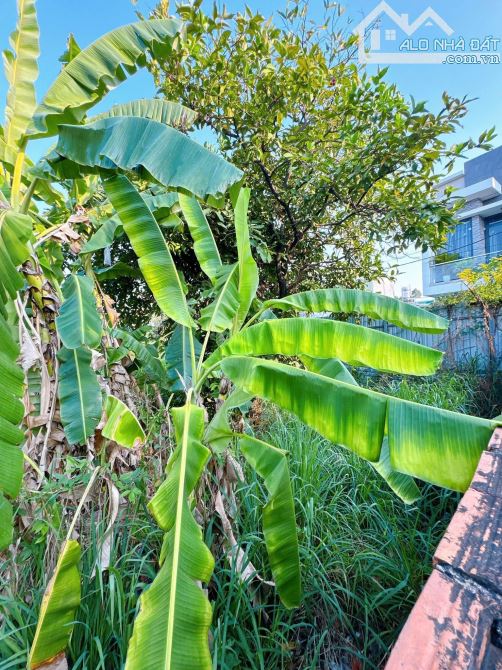 D193 Bán lô đất Ngang 6m trung tâm Cv 30/4 Hẻm Sao Mai P.Tân Biên .Tp Biên Hoà . _ - 5
