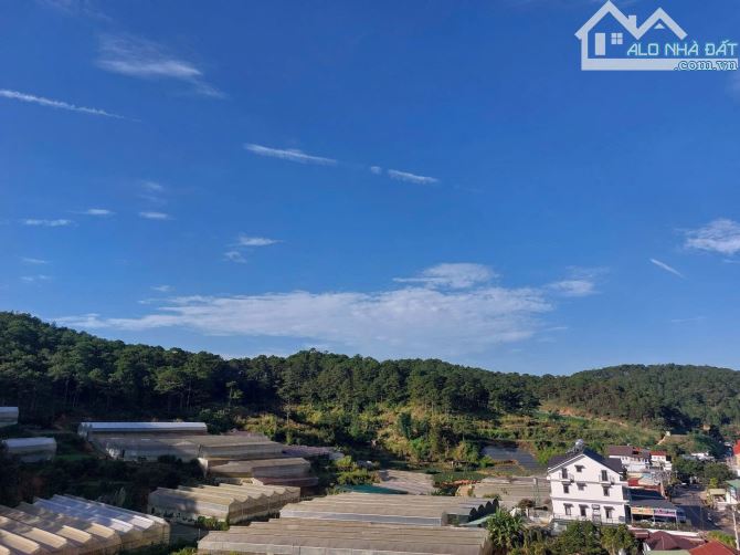 Bán đất tặng homestay sân vườn view thông mặt tiền Triệu Việt Vương P3 Đà Lạt 1135m2 35tỷ - 5