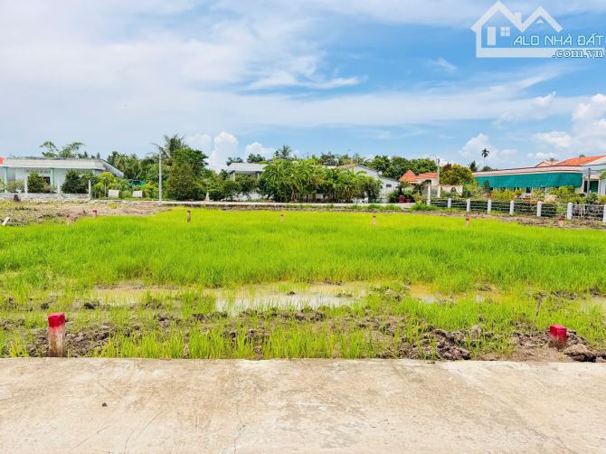 5×21 thổ Bình Lãng_Tân trụ 395 triệu Đường 5m ôtô nền cao đông nghẹt dân cư - 5