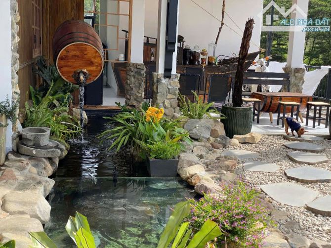 Hạ sâu 2 tỷ bán nhanh Khách Sạn view rừng thông chill 10 PN Kinh Doanh - nguồn thu cực tốt - 6