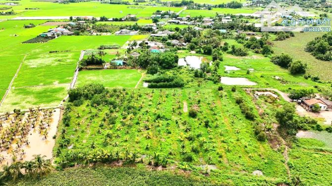 1000m2 đất xây nhà vườn View Sông Tấn Đức chỉ 600tr - 7