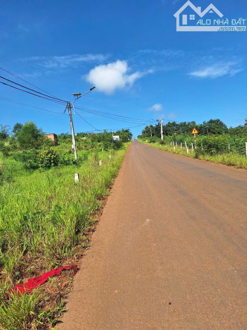 BÁN GẤP 3 LÔ ĐẤT KHU VỰC QUẢNG KHÊ, ĐẮK NÔNG! - 7