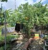 Lô đất cực hiềm,ngay MẶT TIỀN ĐƯỜNG PHƯỚC THIỆN, Vinhome, Long Bình, Thủ Đức