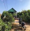 D090 🏚️ Cần bán gấp nhà vườn  Diện tích : 11.000m2 quy hoạch đất ở tại nông thôn  💫 vị t