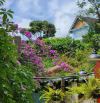🌟 SIÊU PHẨM GIÁ TỐT – HOMESTAY TRUNG TÂM ĐÀ LẠT 🌟 🔥ĐÃ HẠ GIÁ 1TỶ - CHỈ CÒN 5TỶ2🔥