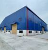 Cho Thuê 5.000m2 Nhà Xưởng Tại Bến Cát Bình Dương PCCC Tự Động Giấy Tờ Đầy Đủ