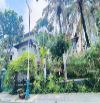 Hiếm! Bán biệt thự MT Thủ Thiêm Villas hồ bơi sân vườn - DT: 25x25m - 3 tầng - 88 tỷ