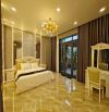 Siêu phẩm HÀNG HIẾM - BẠCH ĐẰNG  - Biệt Thự-  Phường 2 Tân Bình - chỉ 21 tỷ TL.