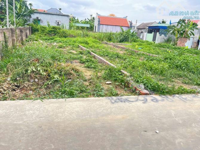 Lô đất 81m trục liên thôn thông 2 oto tránh nhau tại phường Hoàng Lâm - Thuỷ Nguyên - 3